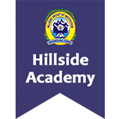 Hillside Institute of Management and Academy